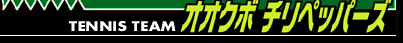 �ƥ˥������ࡡ�������ܥ���ڥåѡ���