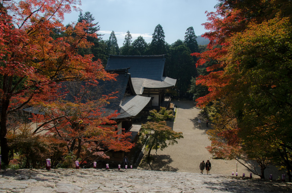 秋の京都。ドライブと神護寺散策とちょっと山歩き（紅葉してました）